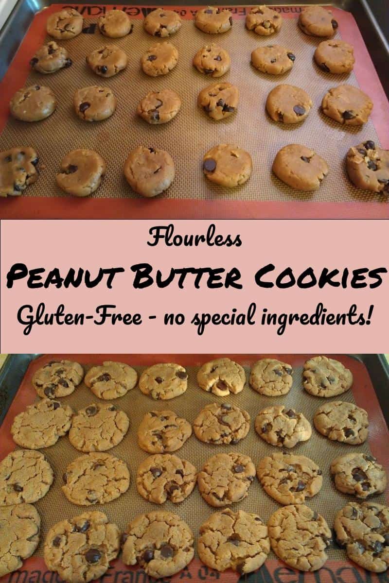 flourless peanut butter cookies - dough on a cookie sheet, and baked on a cookie sheet