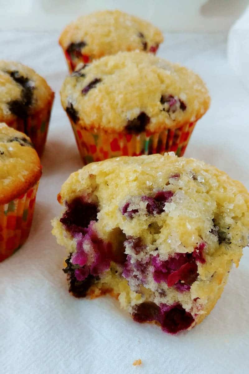 fluffy perfect blueberry muffins, torn open to see inside texture