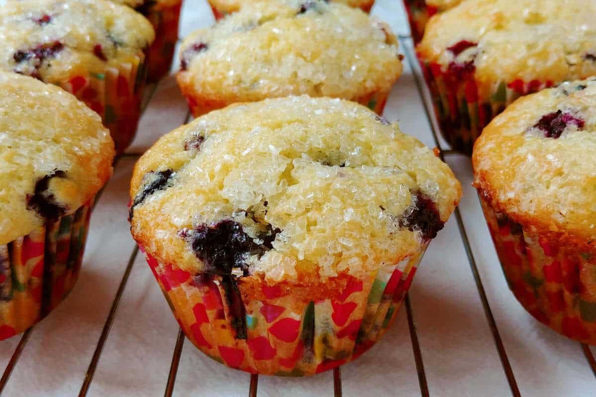 perfect blueberry muffins, lined up in a row on a baking rack