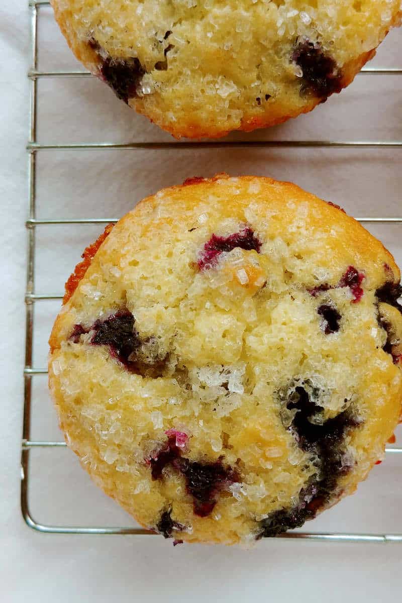 perfect blueberry muffins, on a baking rack, close up from overhead