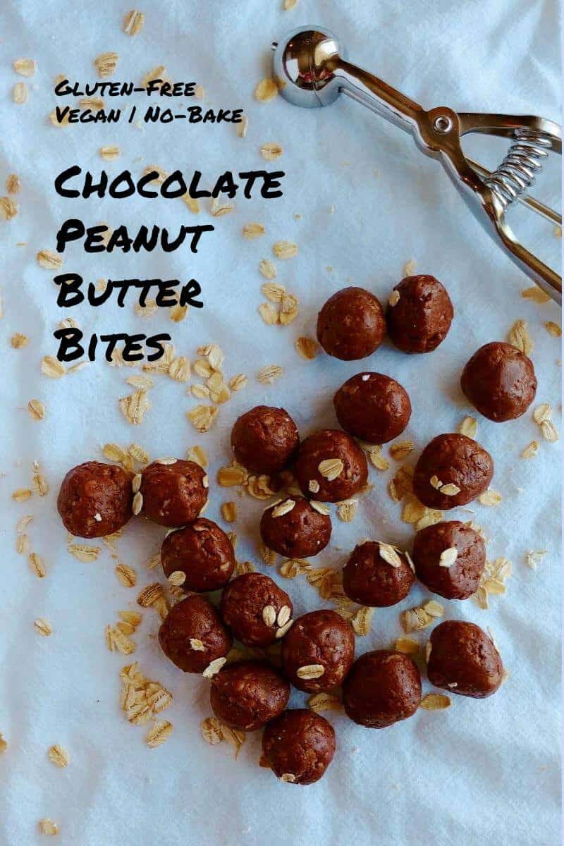chocolate peanut butter bites, sprinkled with oats - pin for Pinterest