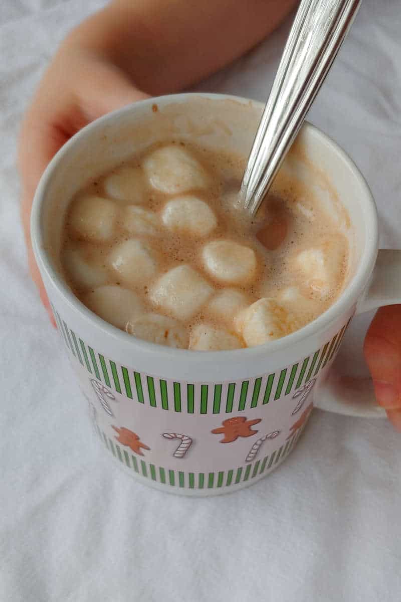 hands holding a mug of alton brown's hot cocoa mix