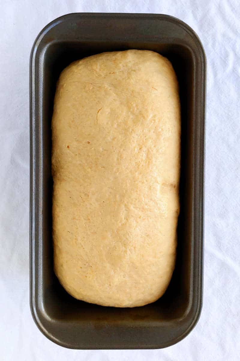 yeasted banana sandwich bread, in a loaf pan, after thawing from the freezer