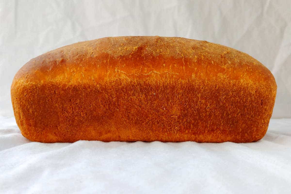 a loaf of yeasted banana sandwich bread, uncut, seen from the side
