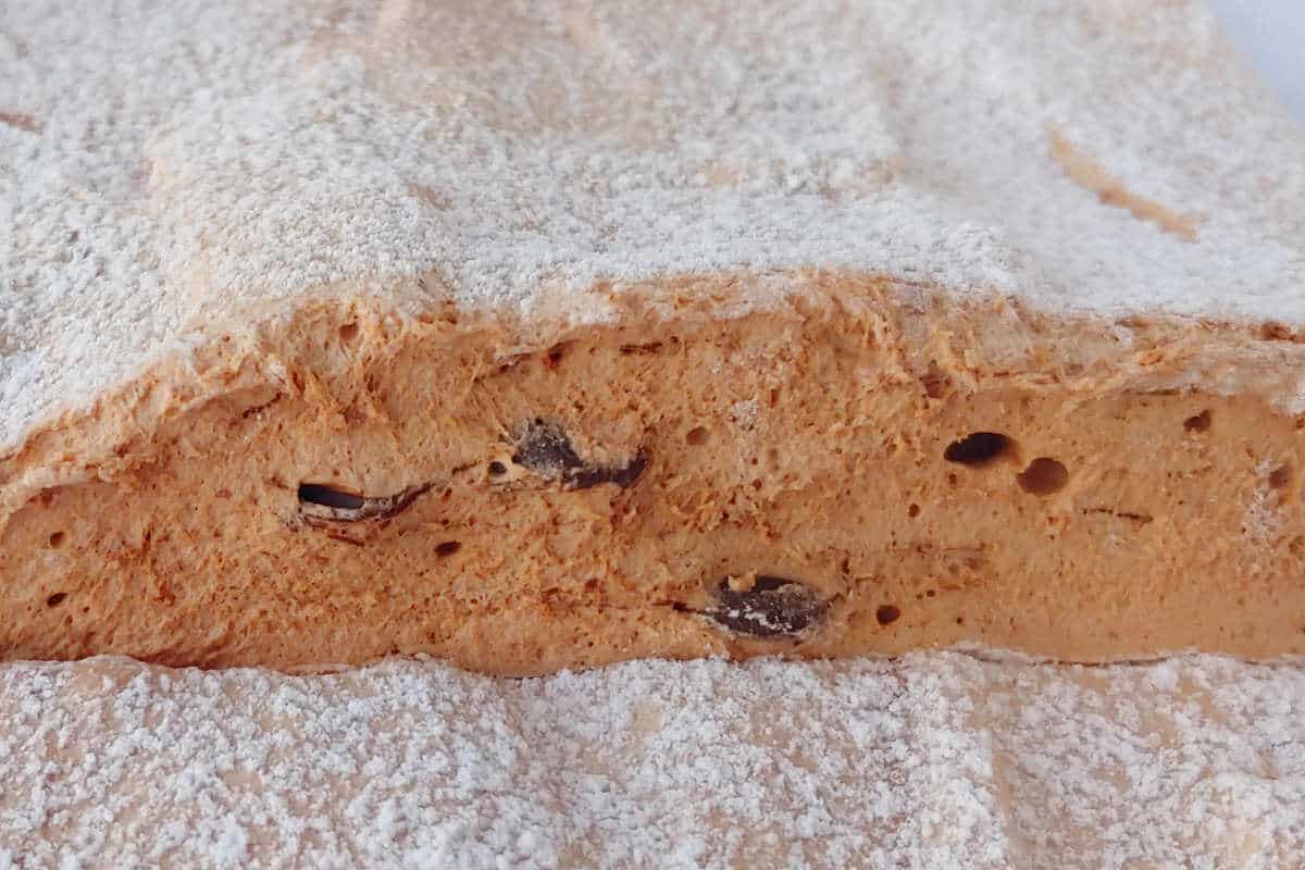 homemade chocolate/chocolate chip marshmallows, cut in half to see chocolate chips layered on the inside