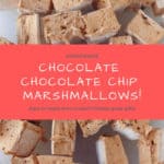 chocolate-chocolate chip marshmallows, cut and on their sides - pin for pinterest