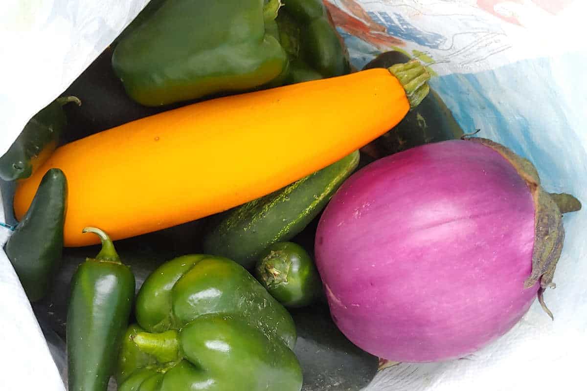 squash, eggplant, peppers