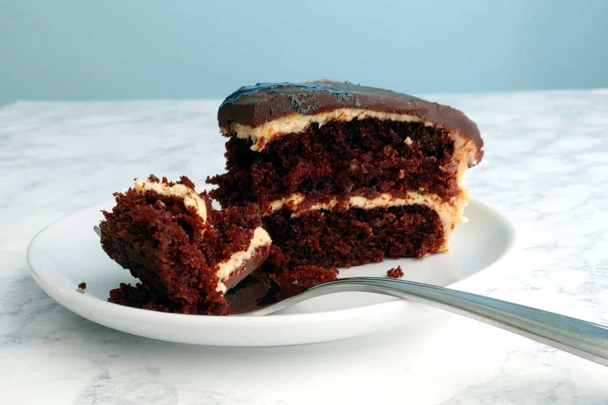 a slice of chocolate peanut butter cake, with a bite on the fork