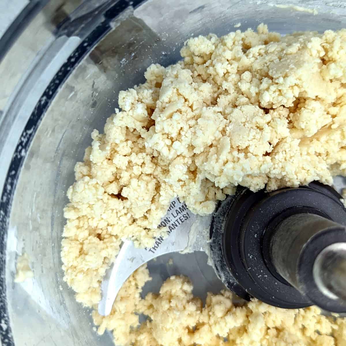 flour, butter, and salt, mixed with water to form crumbs, in the bowl of a food processor