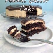 A fork with a bite of chocolate peanut butter cake rests on a plate with the remaining slice of cake. The whole cake is on the table in the background. Text overlay for Pinterest reads "Chocolate Peanut Butter Cake. Rich, Moist, & Delicious!"