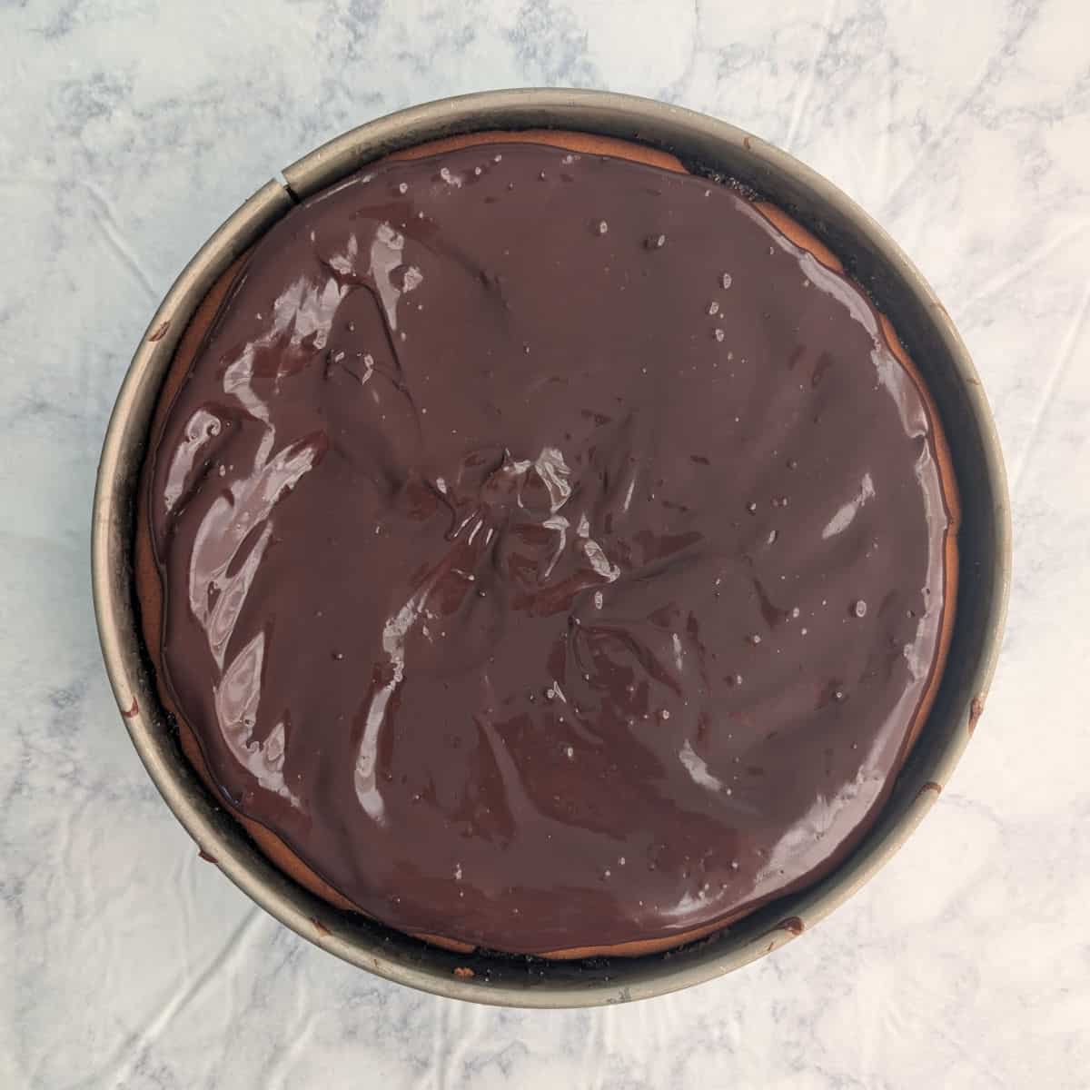 Chocolate peanut butter cheesecake topped with chocolate ganache, still in a springform pan.