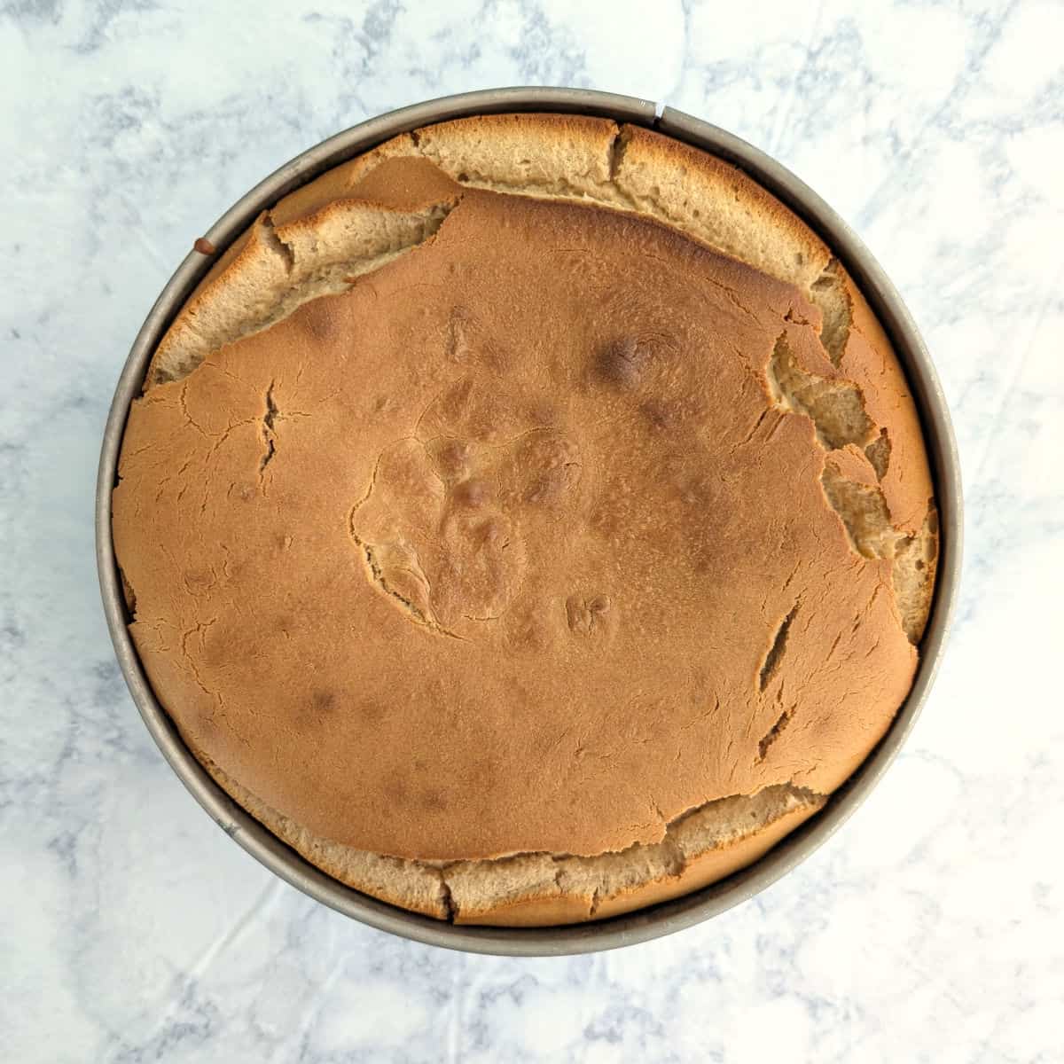 Peanut butter cheesecake in a springform pan, still warm from the oven.. There are cracks along the top edges where it puffed out.