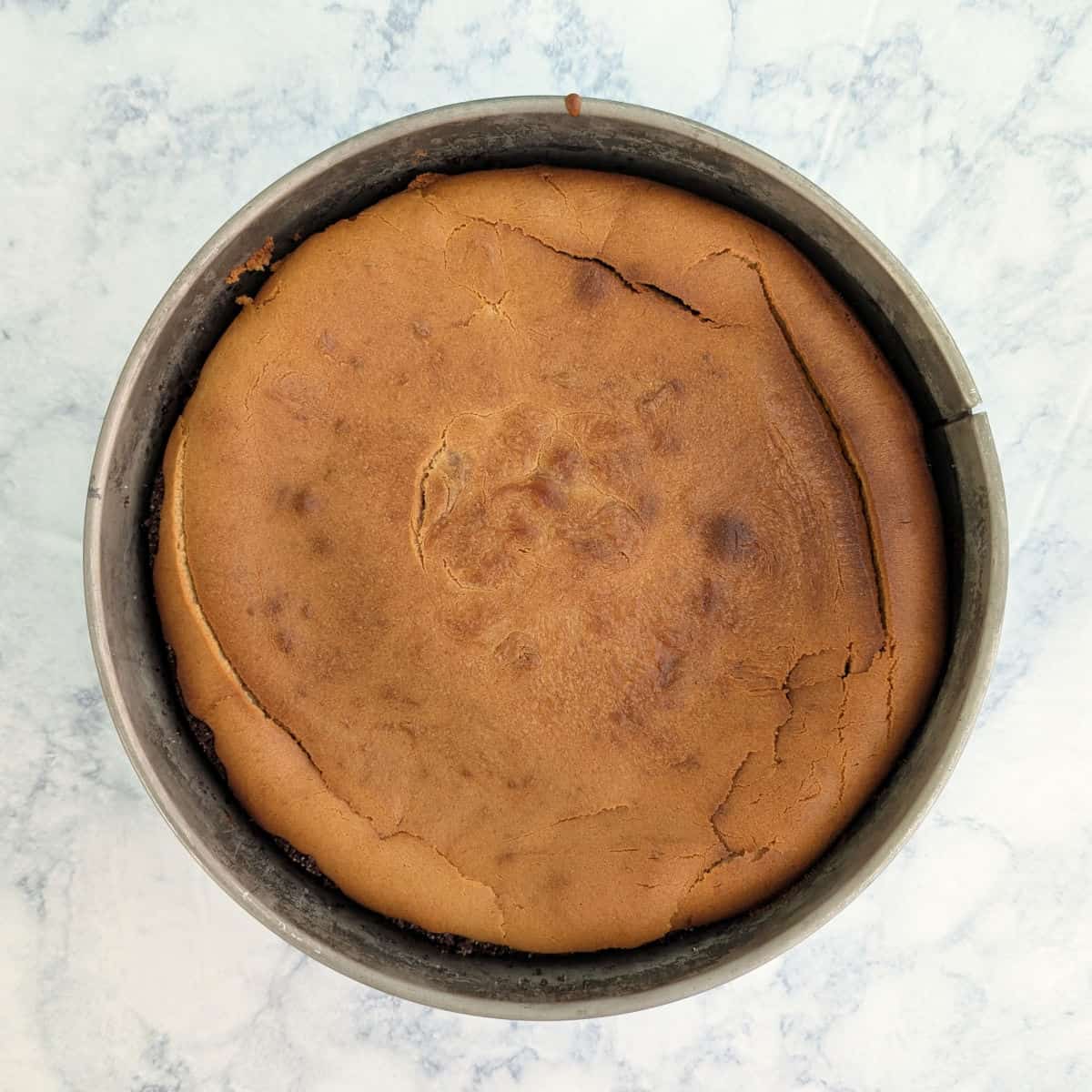 Cold peanut butter cheesecake in a springform pan. The cracks in it have deflated as it cooled.