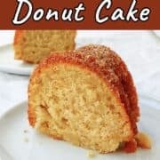 A slice of apple cider donut cake, coated in cinnamon sugar. Text overlay reads "Apple Cider Donut Cake. Light, Tender, & Moist!"