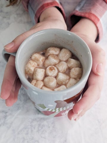 Hands hold a mug of hot cocoa topped with miniature marshmallows.