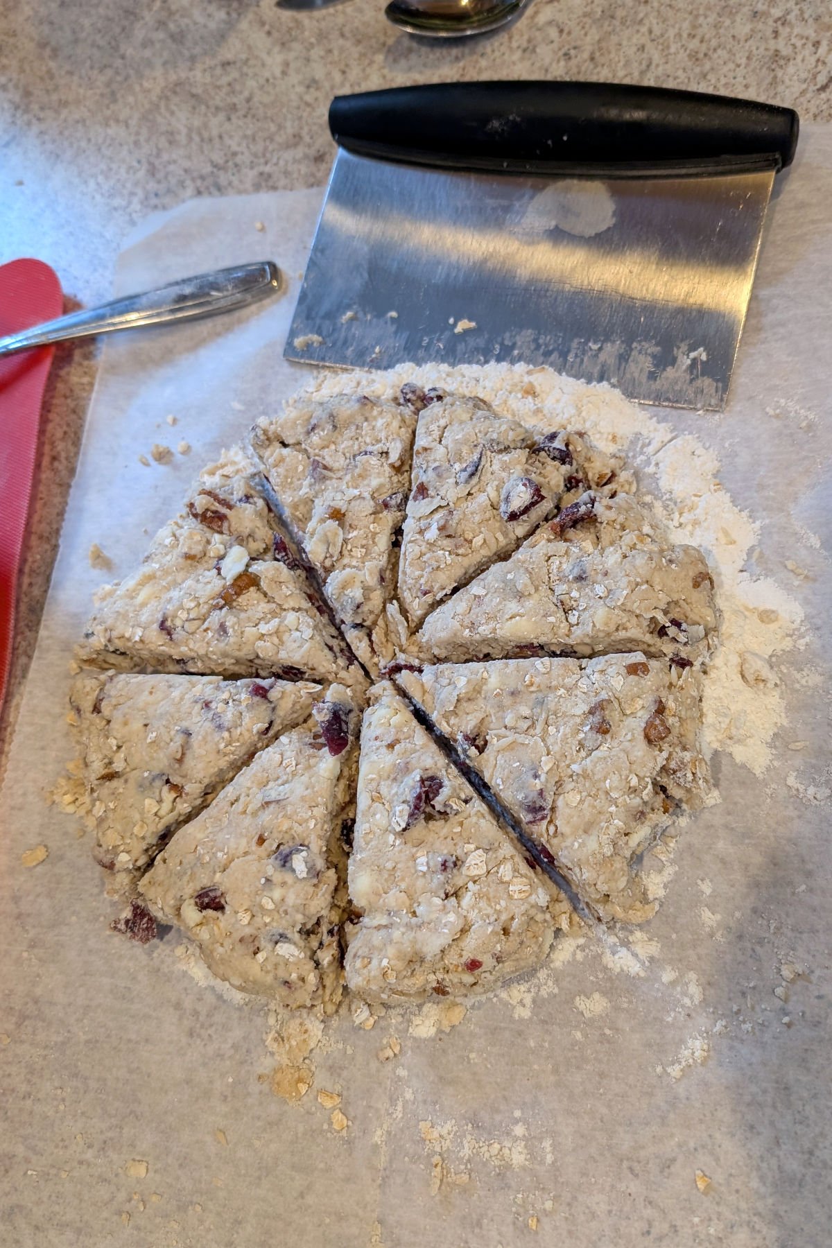 A 6-inch disc of scone dough, cut into 8 wedges. A bench scraper rests next to the disc.