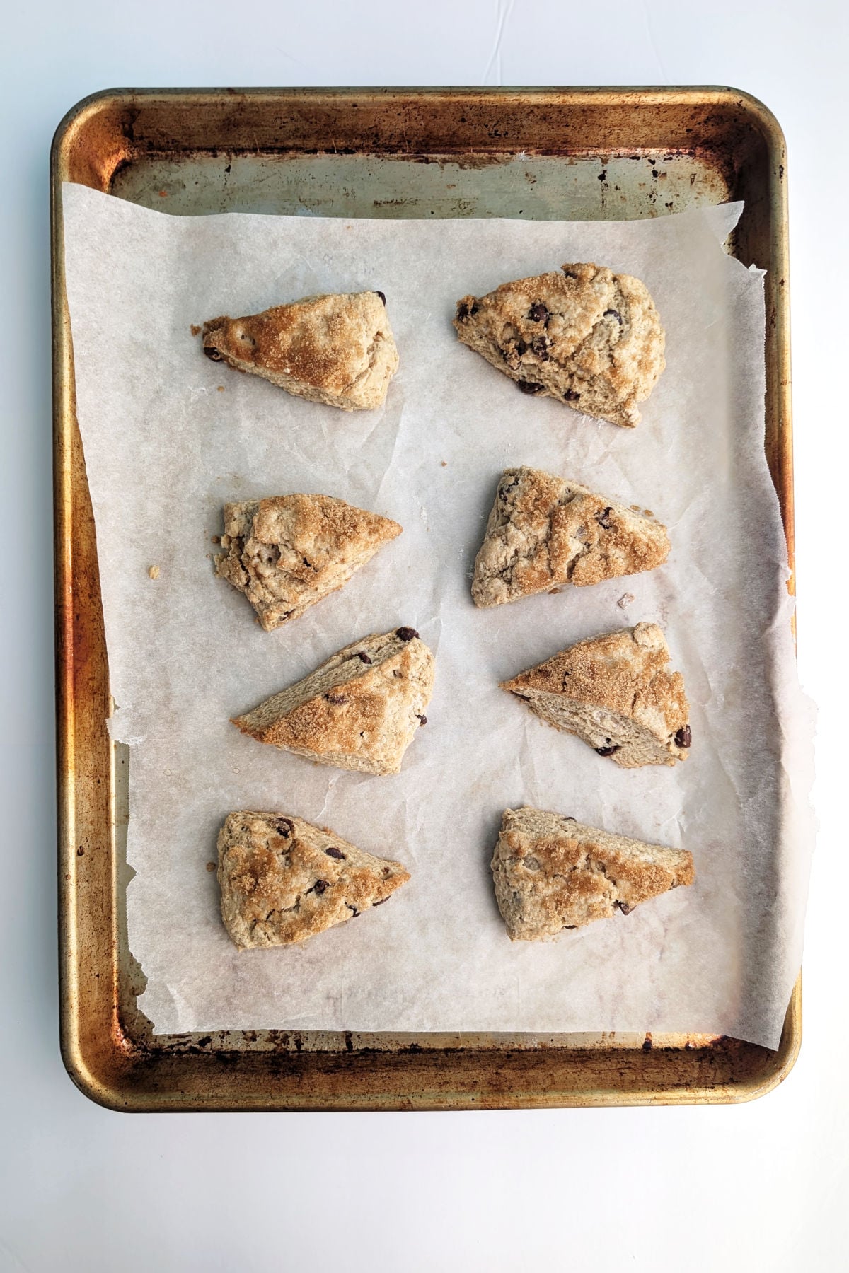 Baked chocolate chip cookie scones, on a baking sheet.