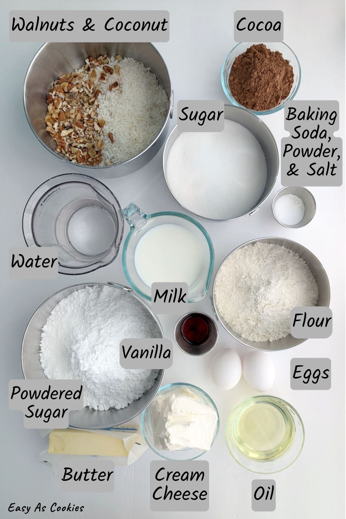 Labeled ingredients for Earthquake Cake from Scratch: walnuts, coconut, cocoa powder, water, milk, sugar, flour, baking powder, baking soda, salt, powdered sugar, vanilla, eggs, butter, cream cheese, and vegetable oil.
