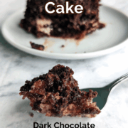 Bite of earthquake cake on a fork. Text overlay reads "Earthquake Cake. Dark Chocolate. Cream Cheese Swirl."